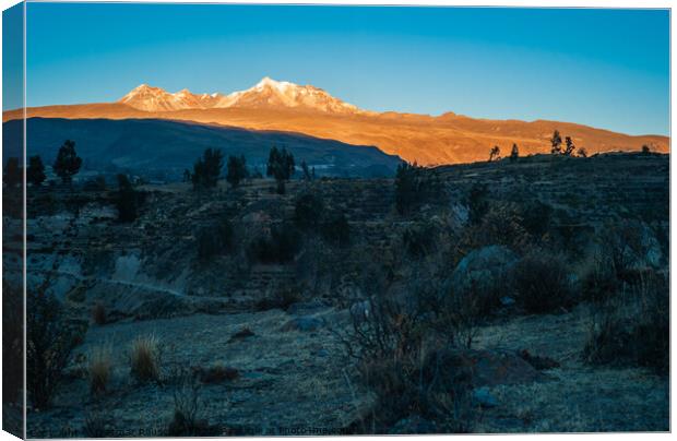 Andes Mountain Landscape near Yanque, Colca Canyon, Peru at Dawn Canvas Print by Dietmar Rauscher