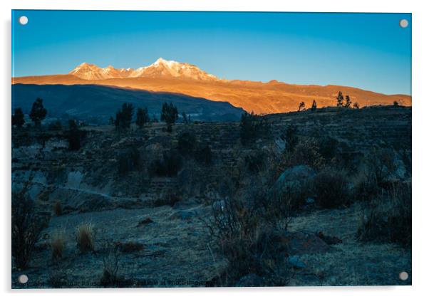 Andes Mountain Landscape near Yanque, Colca Canyon, Peru at Dawn Acrylic by Dietmar Rauscher