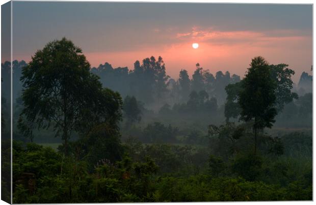 Romantic Sunset Over a Misty Landscape with Trees in Uganda Canvas Print by Dietmar Rauscher