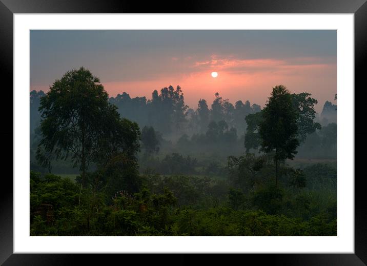 Romantic Sunset Over a Misty Landscape with Trees in Uganda Framed Mounted Print by Dietmar Rauscher