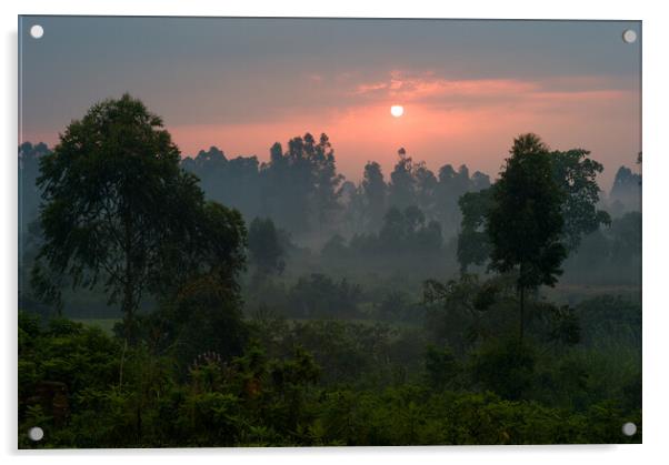 Romantic Sunset Over a Misty Landscape with Trees in Uganda Acrylic by Dietmar Rauscher