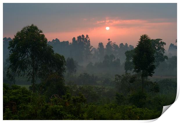 Romantic Sunset Over a Misty Landscape with Trees in Uganda Print by Dietmar Rauscher