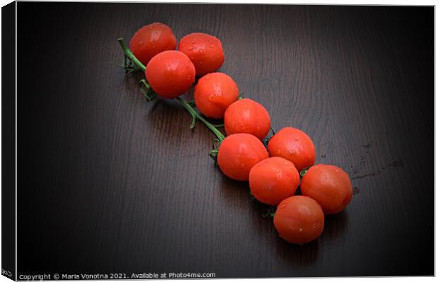 Fresh cherry or mini tomatoes on a branch Canvas Print by Maria Vonotna