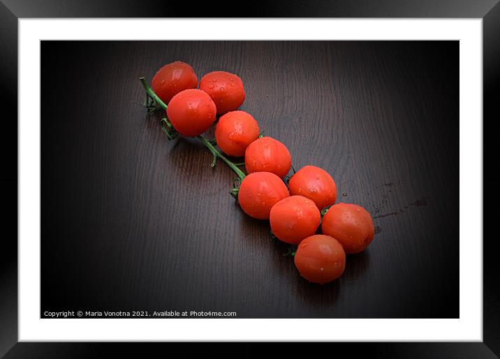 Fresh cherry or mini tomatoes on a branch Framed Mounted Print by Maria Vonotna