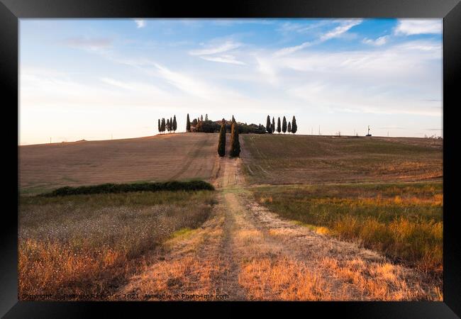 Villa Poggio Manzuoli or Gladiator House in Val d'Orcia, Tuscany Framed Print by Dietmar Rauscher