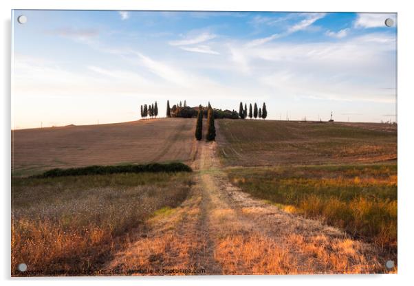 Villa Poggio Manzuoli or Gladiator House in Val d'Orcia, Tuscany Acrylic by Dietmar Rauscher
