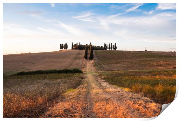 Villa Poggio Manzuoli or Gladiator House in Val d'Orcia, Tuscany Print by Dietmar Rauscher