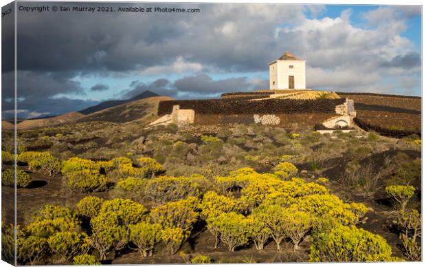 Old windmill Lanzarote, Canary Islands Canvas Print by Ian Murray