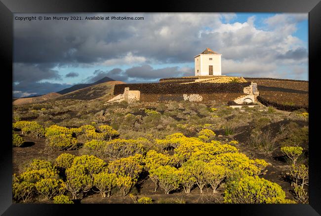 Old windmill Lanzarote, Canary Islands Framed Print by Ian Murray