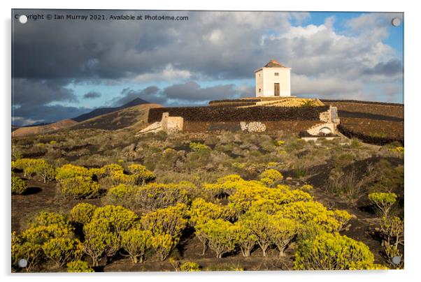 Old windmill Lanzarote, Canary Islands Acrylic by Ian Murray