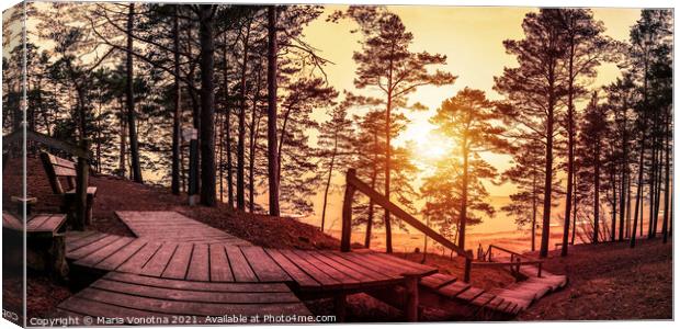 Sunset in the coniferous forest with wooden pathwa Canvas Print by Maria Vonotna