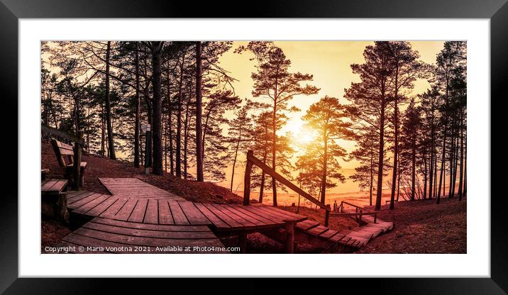 Sunset in the coniferous forest with wooden pathwa Framed Mounted Print by Maria Vonotna