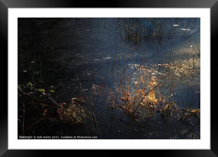 Sunlight and Ice Framed Mounted Print by Rob Darts