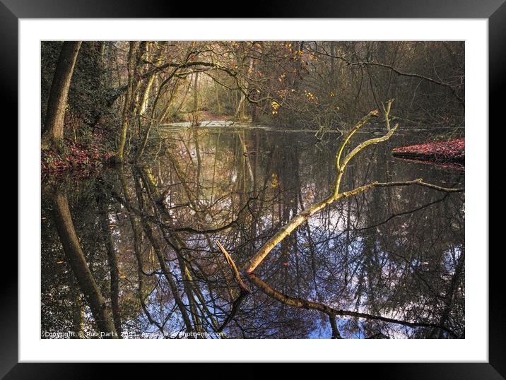 Woodland Reflections Framed Mounted Print by Rob Darts