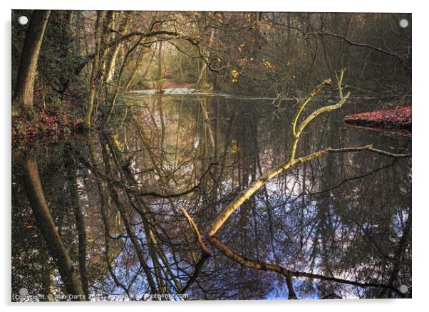 Woodland Reflections Acrylic by Rob Darts