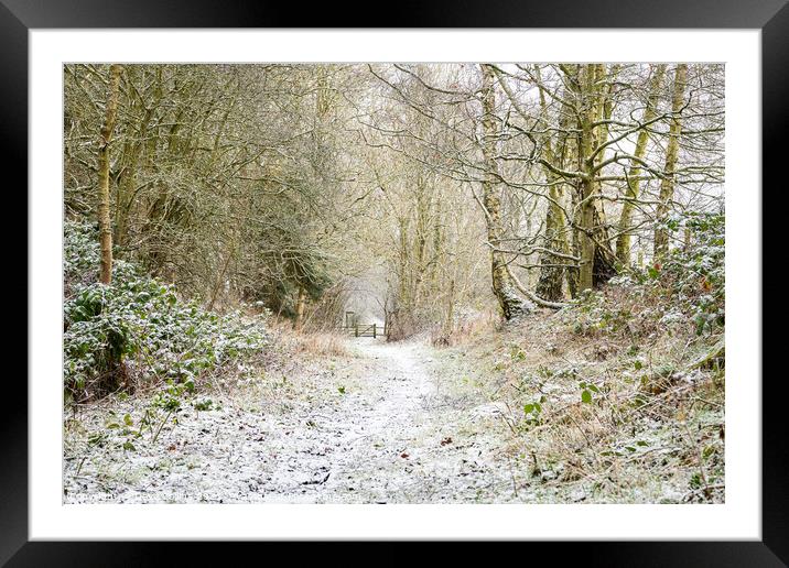 Snow Covered Footpath, Scottish Borders, United Ki Framed Mounted Print by Dave Collins