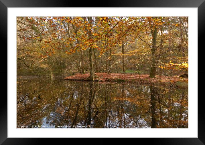 Autumn Colour  Framed Mounted Print by Rob Darts
