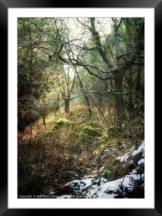 Forest Impressions Framed Mounted Print by Rob Darts