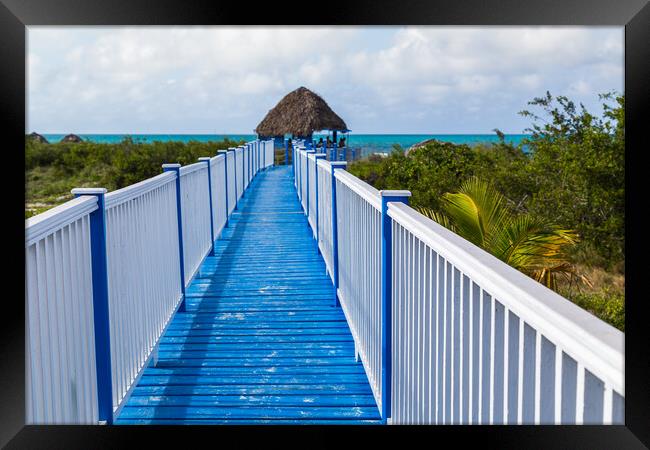 Walkway leading to Playa Pilar Framed Print by Jason Wells