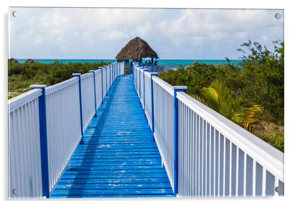 Walkway leading to Playa Pilar Acrylic by Jason Wells