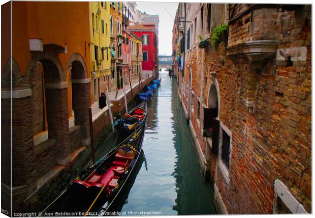 Side street in Venice Canvas Print by Ann Biddlecombe