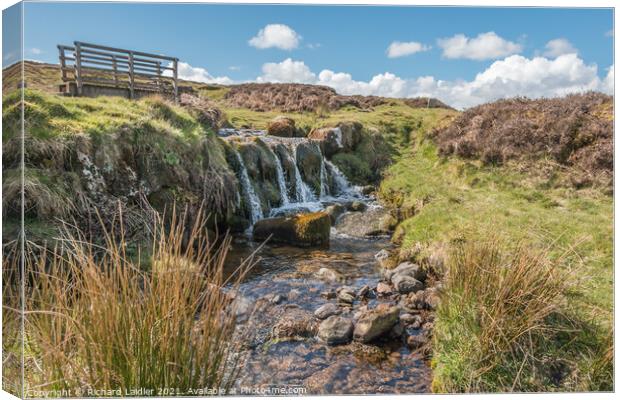Barningham Moor Beck and Waterfall Canvas Print by Richard Laidler
