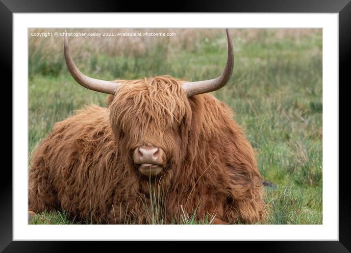Highland cow portrait Framed Mounted Print by Christopher Keeley