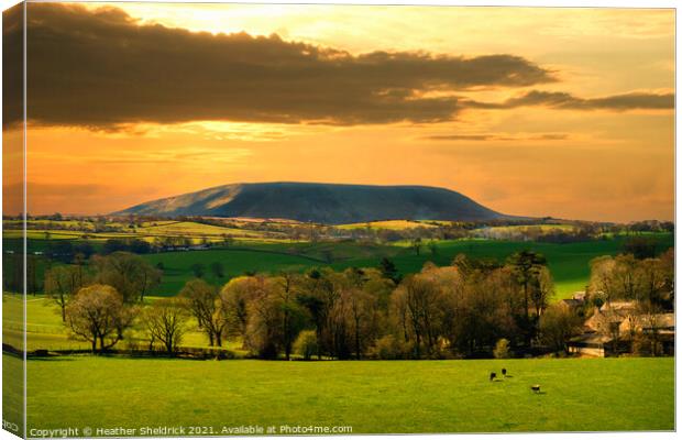 Old Pendle Sunset Canvas Print by Heather Sheldrick