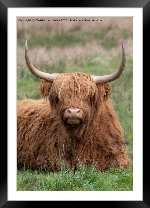 Portrait of a Highland cow Framed Mounted Print by Christopher Keeley