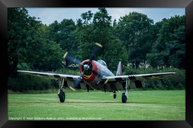 Thunderbolt P47 Framed Print by Peter Anthony Rollings