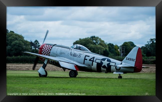 Thunderbolt P47 Framed Print by Peter Anthony Rollings