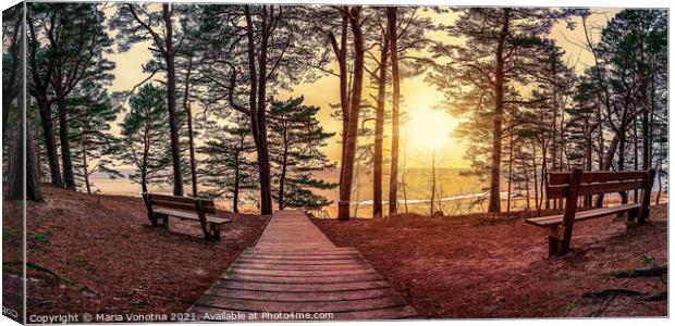 Sunset in pine forest with benches under trees Canvas Print by Maria Vonotna