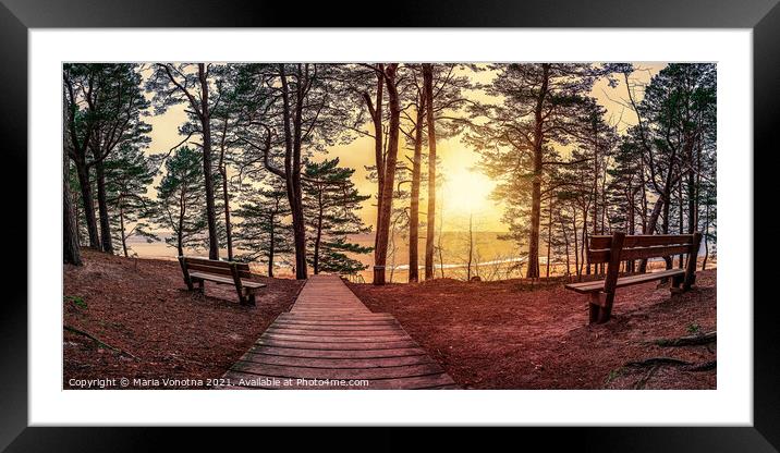 Sunset in pine forest with benches under trees Framed Mounted Print by Maria Vonotna