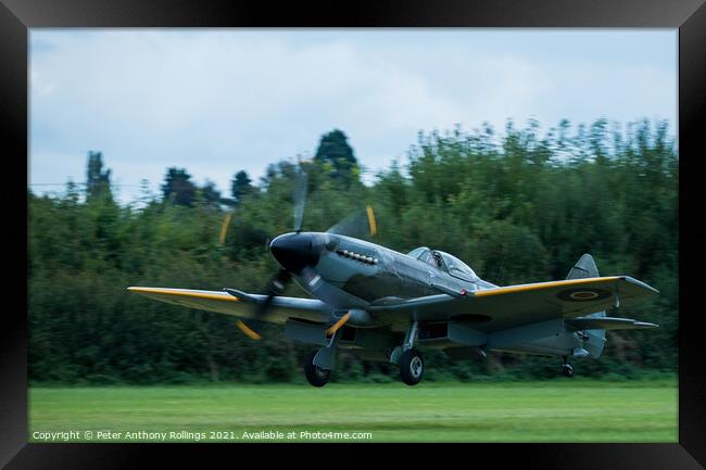 Supermarine Spitfire Framed Print by Peter Anthony Rollings