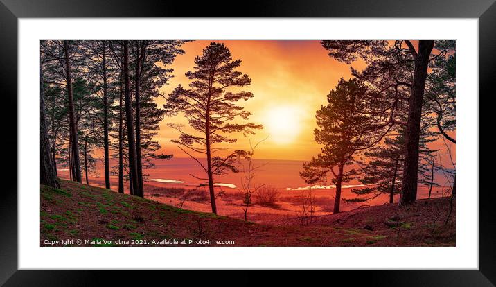 Colorful sunset over sea with pine trees silhouett Framed Mounted Print by Maria Vonotna