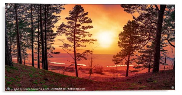 Colorful sunset over sea with pine trees silhouett Acrylic by Maria Vonotna