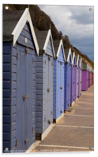 Beach Huts on Bournemouth Beach Acrylic by Chris Haynes