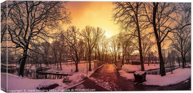 Snowy park during sunset in Riga, Latvia.  Canvas Print by Maria Vonotna