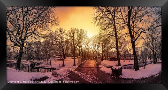 Snowy park during sunset in Riga, Latvia.  Framed Print by Maria Vonotna
