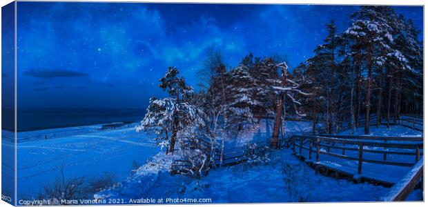 Nighttime winter scene near sea coast Canvas Print by Maria Vonotna