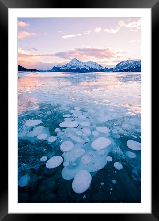 Methane Bubbles frozen in Abraham Lake, Clearwater County, Alber Framed Mounted Print by Shawna and Damien Richard