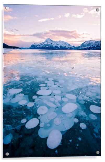 Methane Bubbles frozen in Abraham Lake, Clearwater County, Alber Acrylic by Shawna and Damien Richard