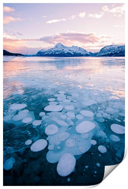 Methane Bubbles frozen in Abraham Lake, Clearwater County, Alber Print by Shawna and Damien Richard