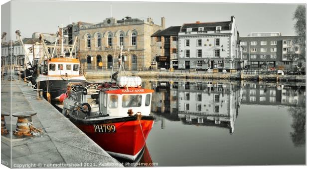 The Old Custom House, Plymouth, Devon. Canvas Print by Neil Mottershead