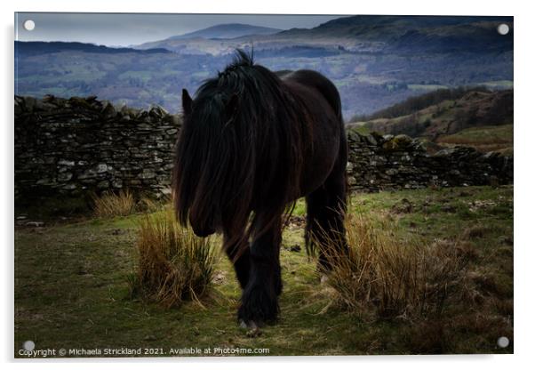 Fell pony on Wansfell, Ambleside Acrylic by Michaela Strickland