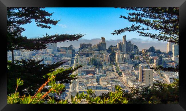 San Francisco, California Framed Print by Mark Llewellyn