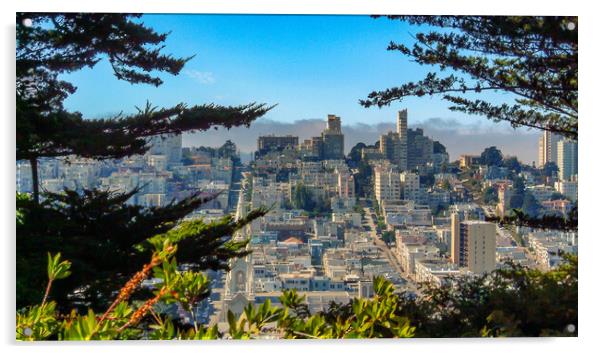 San Francisco, California Acrylic by Mark Llewellyn