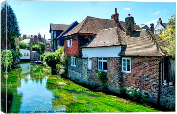 The River Stour at Canterbury Canvas Print by Alison Chambers
