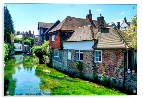 The River Stour at Canterbury Acrylic by Alison Chambers