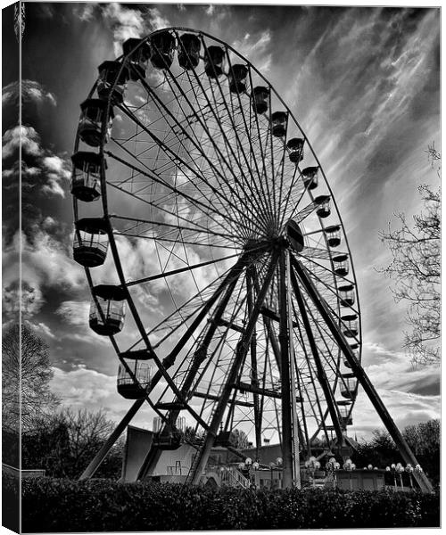The Eye Canvas Print by Michelle Bowler